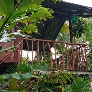  Bauernhof Sigiri Panaromic Tree House Sri Lanka